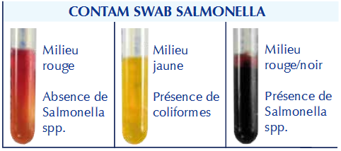 Lecture écouvillon swab salmonelle