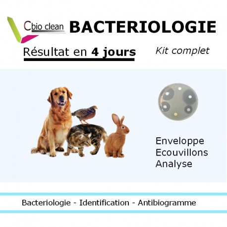 Kit analyse bactériologique chien chat