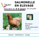 Kit analyse salmonelle elevage poules pondeuse