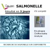 Kit analyse salmonelle par chiffonnette